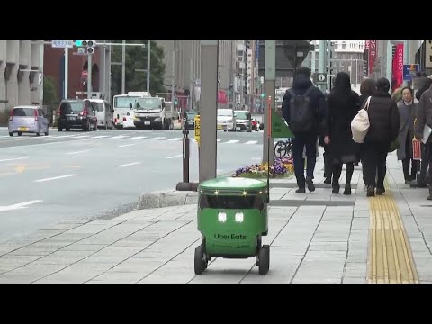 Autonomous robot takeaway delivery arrives in Tokyo