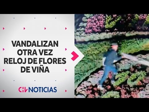 OTRA VEZ LO VANDALIZARON: Sujeto dañó reloj de flores de Viña del Mar tras mover manecillas