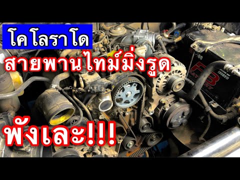 โคโลราโดสายพานราวลิ้นรูดพังยั