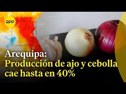 Arequipa: Producción de ajo y cebolla se ve afectada por el Fenómeno El Niño