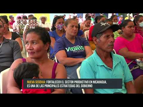 Productores de Nueva Segovia optimistas durante este ciclo agrícola 2021 - Nicaragua