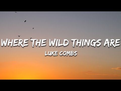 Luke Combs - Where the Wild Things Are (Lyrics)