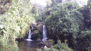 Hiking through the Foothill of Rwenzori Mountains, Uganda