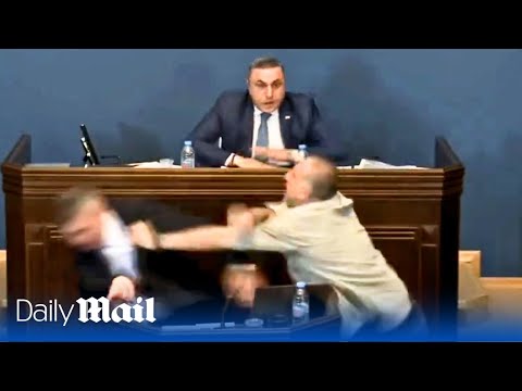 Georgia ruling party leader punched in the face over 'Russian law'
