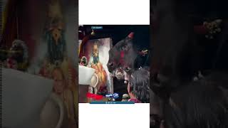 بقرة برأسين