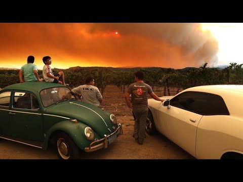 Incendies en Californie : des milliers de personnes évacuées, les feux progressent toujours