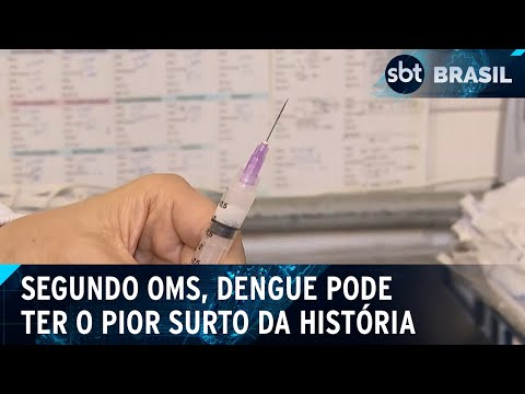 Organização Mundial da Saúde alerta sobre os perigos da dengue | SBT Brasil (26/03/24)