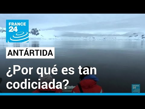 Gobiernos de Chile y Argentina buscan reafirmar su soberanía en la Antártida • FRANCE 24 Español