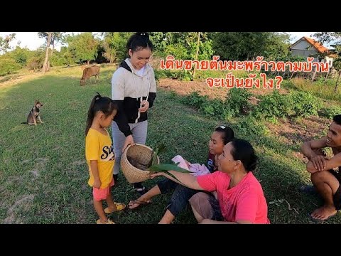 ลองใจพี่น้อง-แกล้งขายมะพร้าวตา ลองใจพี่น้อง-แกล้งขายมะพร้าวตา