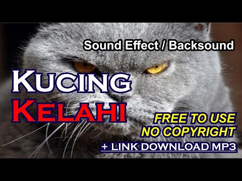 SOUND EFFECT / BACKSOUND SUARA KUCING KELAHI +LINK DOWNLOAD [NO COPYRIGHT]