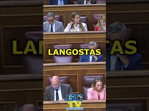 El PP no se guarda las plagas de langostas Íñigo Errejón #pp #psoe #vox #sumar #podemos