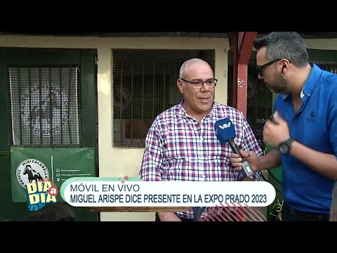 Día a Día | Expo Prado 2023: Mini caballos
