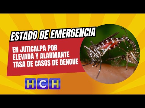 Declaran estado de emergencia en Juticalpa por elevada y alarmante tasa de casos de Dengue