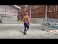 Show jumping horse Goed springende 2j hengst