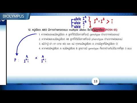 EP05Multiplealleles02