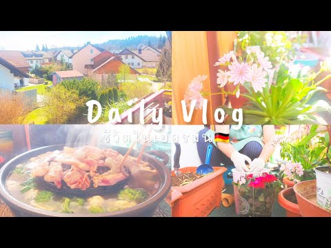 Dailylifevlogมื้อเช้าง่ายๆ|