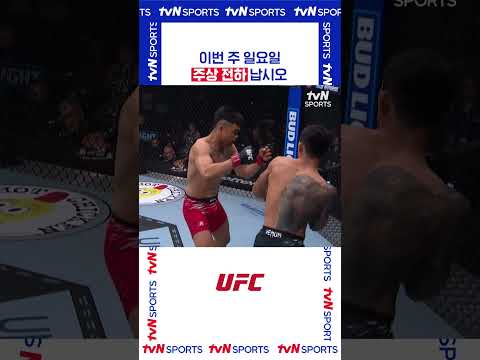 주상 전하 납시오 #UFC