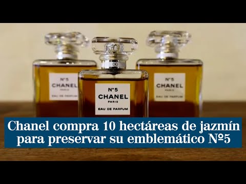 Chanel compra 10 hectáreas de jazmín para preservar su emblemático Nº5