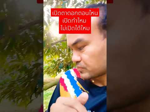 กระตุ้นตาดอกตอนไหนไม่พ่นได้ไห