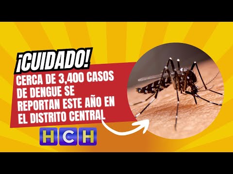 ¡Cuidado! Cerca de 3,400 caos de dengue se reportan este año en el Distrito Central