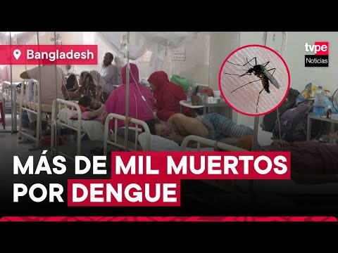 Epidemia de dengue deja más de mil muertos en Bangladesh