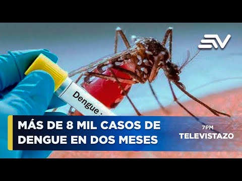 ¡Alerta en Ecuador! Ma?s de 8 mil casos de dengue en menos de 2 meses | Televistazo | Ecuavisa