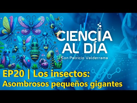 EP20 | Los insectos: Asombrosos pequeños gigantes
