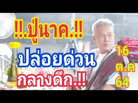 ปู่นาคปล่อยด่วน..!!รีบซื้อเดี๋ ปู่นาคปล่อยด่วน..!!รีบซื้อเดี๋