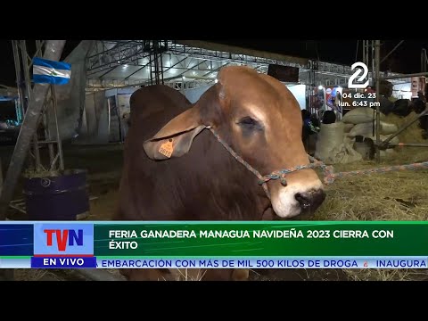 Desarrollo y resultados de la Feria Ganadera Navideña Managua 2023