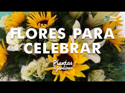 FLORES PARA CELEBAR - Plantas y Jardines en Teleamiga