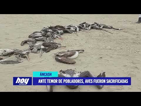 Áncash: Ante temor de pobladores, aves fueron sacrificadas