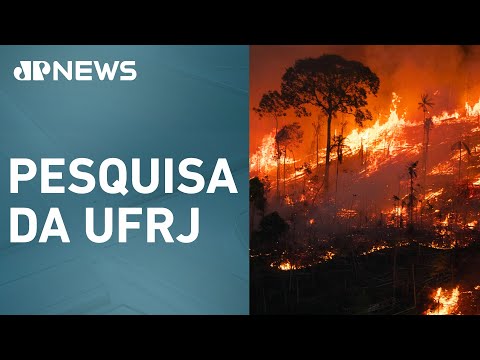 Mais de 90% dos incêndios no Brasil são causados por ação humana