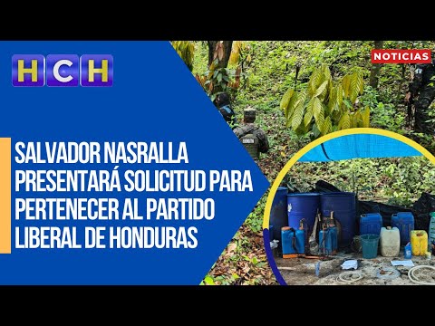 Localizan 25 mil plantas de coca y un narcolaboratorio en Patuca