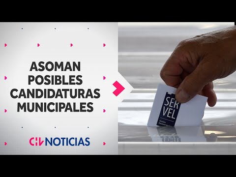 MUNICIPALES 2024: Ex ministros y convencionales se candidatean de cara a octubre - CHV Noticias
