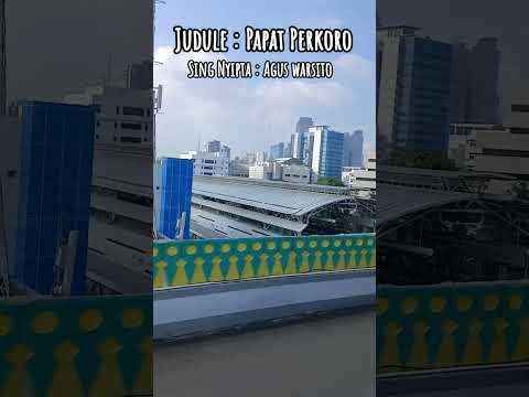 PAPAT PERKORO