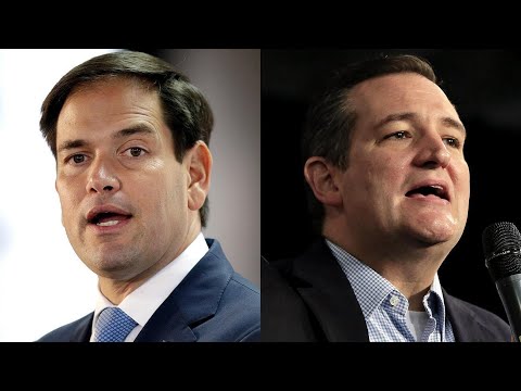 AMLO EXIGE A MARCO RUBIO Y A TED CRUZ PRESENTEN PRUEBAS… EXHIBE AMENAZAS DE MENÉNDEZ