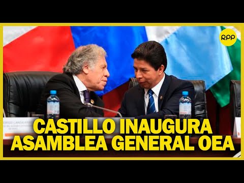 OEA en Perú: Presidente Pedro Castillo participa en diálogo de jefes de delegación