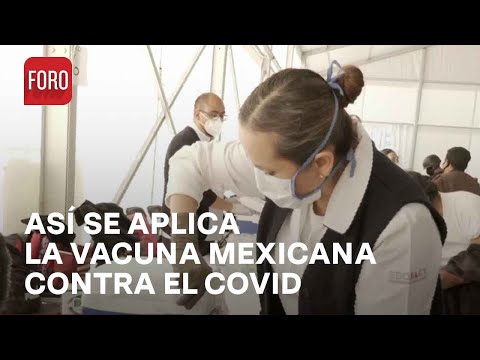 Vacuna Patria contra Covid-19 cuenta con opinión favorable por parte de Cofepris - Las Noticias