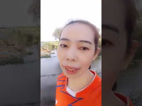 จากสาวออฟฟิตมาเป็น-เด็กบ้านนอก จากสาวออฟฟิตมาเป็น-เด็กบ้านนอก