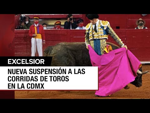 Jueza suspende, nuevamente, corridas de toros en la CDMX