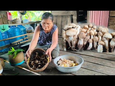 ยายได้เห็ดปลวก.เห็ดระโงก.เห็ด