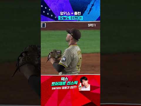 MLB 홈런 1위 팀의 위엄 