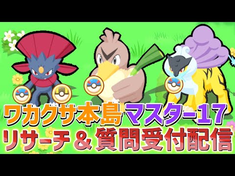 4回分のリサーチ+追加で発表のあったお得パック確認 22:00～