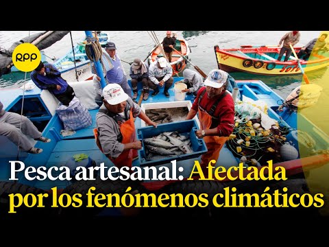 ¿Cuál es la situación de la pesca artesanal ante los fenómenos climáticos?