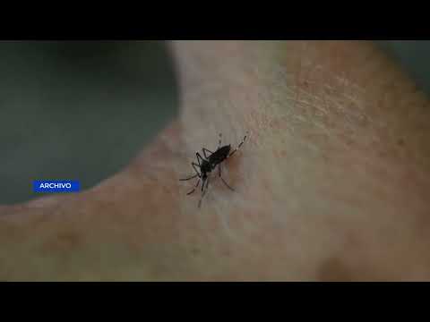 Aumento de casos de dengue en Sacatepéquez