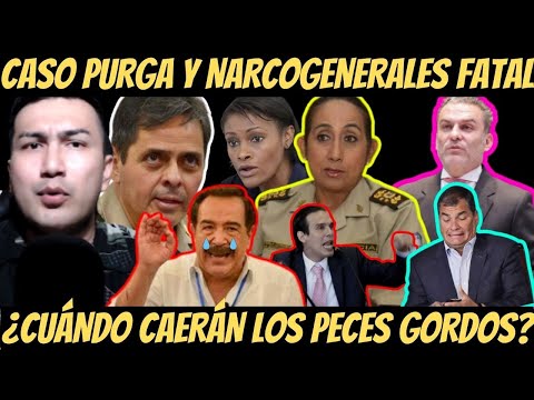 #CASOPURGA | El dedo apunta a Tannya Varela, según Jose Serrano | Pedro Granja “INDULTARÍA” a Correa