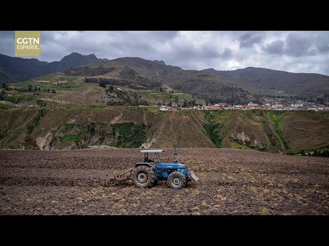 Las sanciones de EE. UU. plantean retos al sector agrario venezolano