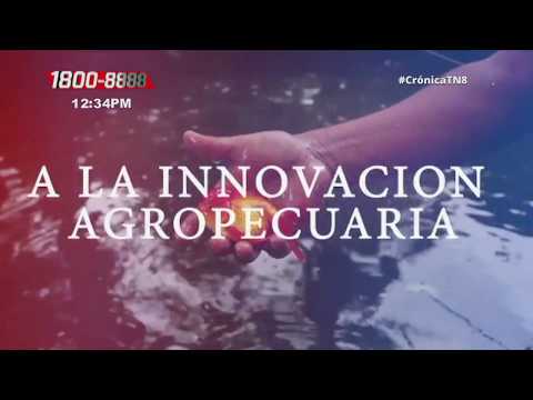 Nicaragua realiza lanzamiento del Premio a la Innovación Agropecuaria