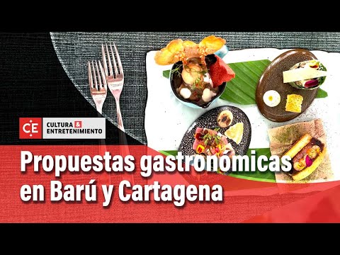 Animare y Acasí, dos propuestas gastronómicas entre Cartagena y Barú | El Tiempo