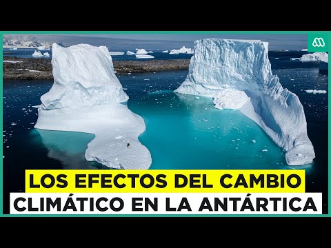 ¿Cómo afecta el cambio climático a la Antártica? Descubre los secretos del continente blanco